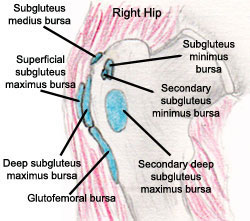 bursa hip mri