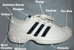 Useful Tips for Shoe Selection