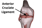 Anatomic ACL Reconstruction: Back to the Future