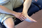  PT Implications in Treating Tibialis Posterior Tendon Dysfunction